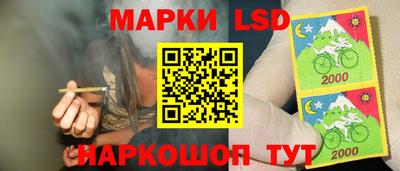 молекула духа Заводоуковск