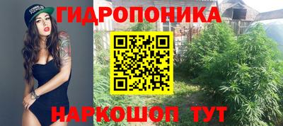 молекула духа Заводоуковск