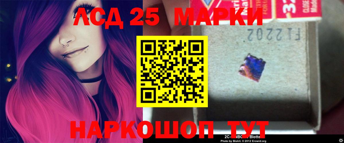 Сокол  Лсд 25 экстази ecstasy  LSD-25 экстази ecstasy  Вход с VPN 